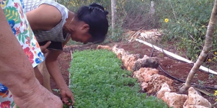 Ciudades de Quintana Roo aprietan el gasto: comer sigue siendo un reto diario