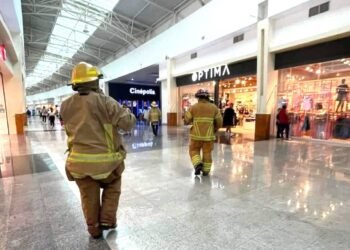 Abejas desatan terror en Chetumal, atacan en calles y plaza comercial