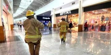 Abejas desatan terror en Chetumal, atacan en calles y plaza comercial