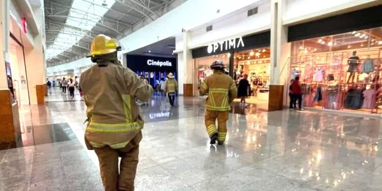 Abejas desatan terror en Chetumal, atacan en calles y plaza comercial