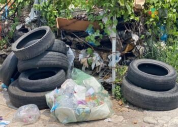 Detectan criaderos de mosco portador de dengue en 70% de viviendas inspeccionadas en la zona sur