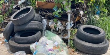 Detectan criaderos de mosco portador de dengue en 70% de viviendas inspeccionadas en la zona sur