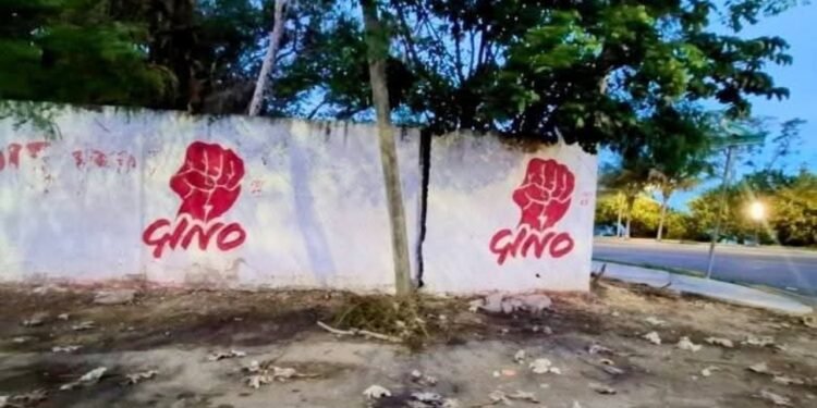 Recorte limita diligencias para atender irregularidades electorales, dice el IEQROO