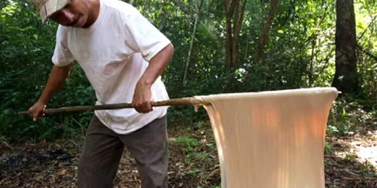 Don Nico García, el último aliento de la tradición chiclera