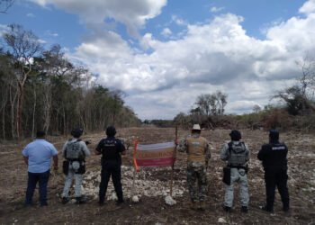 Profepa clausura zona de la Biosfera Calakmul por deforestación en área protegida