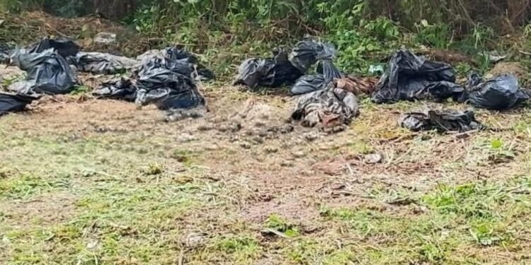 ¿Sabes qué hacen con los restos de tu lomito? Esto cambia con la ley