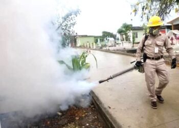 El mosquito del dengue a todo lo que da en Quintana Roo: sexto lugar nacional en contagios