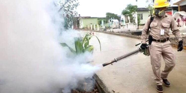 El mosquito del dengue a todo lo que da en Quintana Roo: sexto lugar nacional en contagios
