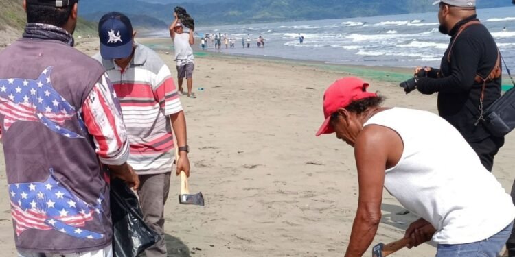 Derrame en Veracruz golpea al puerto y deja sin ingresos a miles de pescadores