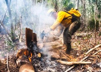 Quintana Roo reporta solo cuatro incendios forestales en lo que va del 2026