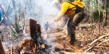 Quintana Roo reporta solo cuatro incendios forestales en lo que va del 2026
