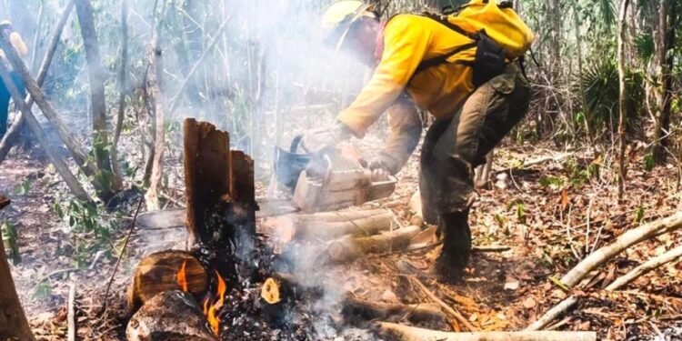 Quintana Roo reporta solo cuatro incendios forestales en lo que va del 2026