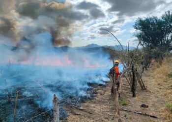 Lo que haces sí importa: el fuego en la Península también es tu responsabilidad, revela estudio
