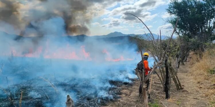 Lo que haces sí importa: el fuego en la Península también es tu responsabilidad, revela estudio