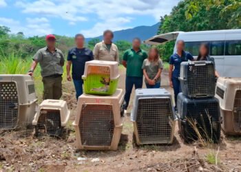 Profepa reintegra 40 animales a su hábitat en reserva de Tamaulipas, ¿de qué especies se trata?