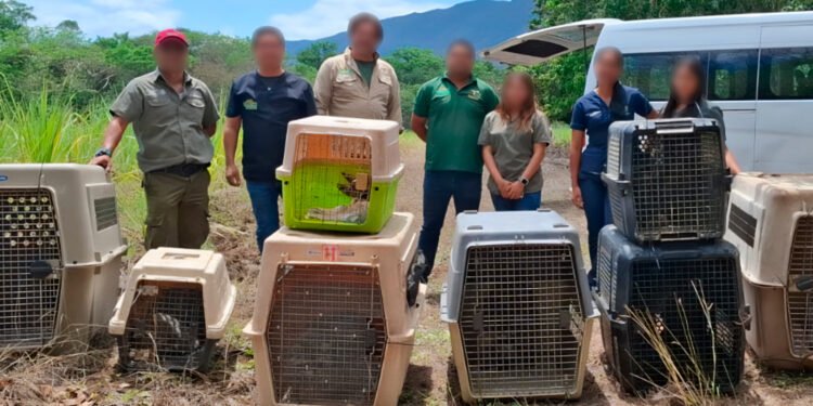 Profepa reintegra 40 animales a su hábitat en reserva de Tamaulipas, ¿de qué especies se trata?