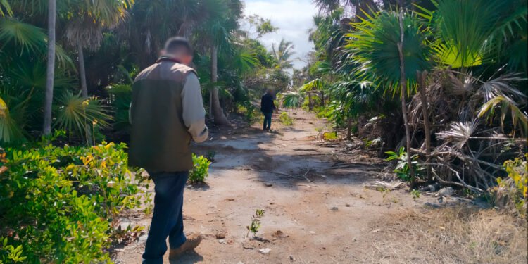 Operativo nacional en áreas naturales deja clausuras, aseguramientos y rescate de fauna