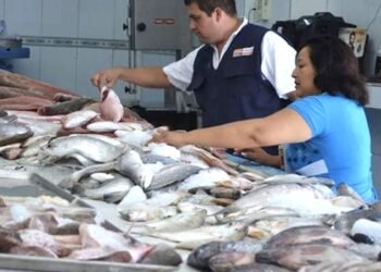 Reportan baja venta de pescados y mariscos pese a estabilidad en los precios