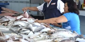 Reportan baja venta de pescados y mariscos pese a estabilidad en los precios