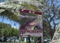 ¡Cocodrilos a la vista! Colocan alertas en el Boulevard Bahía de Chetumal