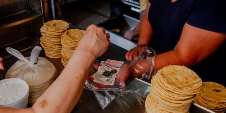 Madrugan a consumidores; tortilla sube a 28 pesos en Chetumal; Gobierno federal rechaza el alza