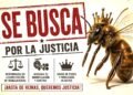 Abeja reina mantiene en jaque a Plaza Las Américas, aún no la localizan