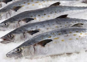 Operativo de Semana Santa deja clausuras por abusos al consumidor en cinco estados