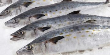 Operativo de Semana Santa deja clausuras por abusos al consumidor en cinco estados