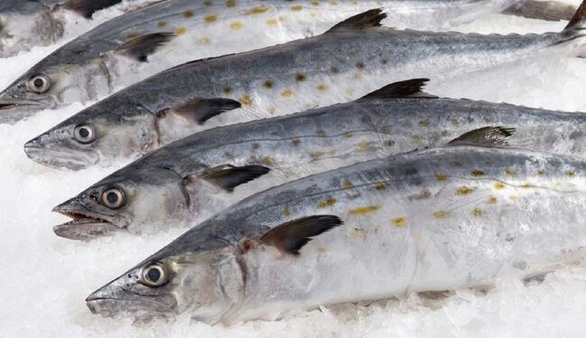 Operativo de Semana Santa deja clausuras por abusos al consumidor en cinco estados