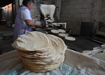 ¿Subirá el precio de la tortilla? Sheinbaum descarta alza