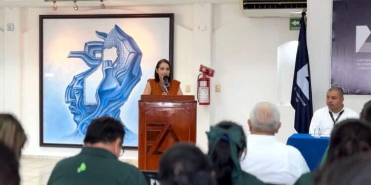 Se “apaga” la paciencia en Chetumal por fallas eléctricas: CANACO exige solución a la CFE