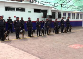 Escuadrón canino se prepara para proteger a BTS; esto sabemos del operativo en CDMX