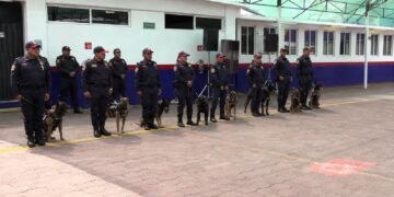 Escuadrón canino se prepara para proteger a BTS; esto sabemos del operativo en CDMX