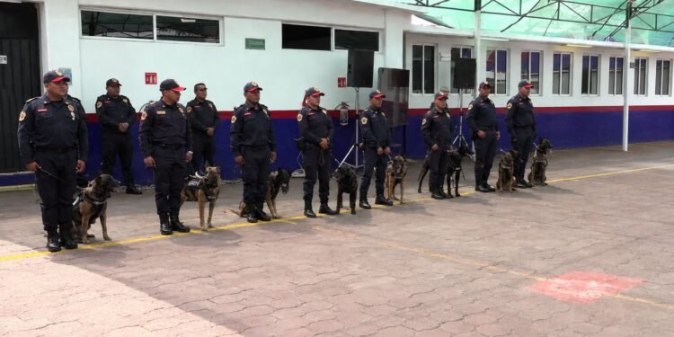 Escuadrón canino se prepara para proteger a BTS; esto sabemos del operativo en CDMX