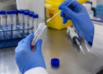 ¿Hay riesgo real de hantavirus en México? Especialistas revelan lo que se sabe hasta ahora