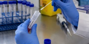 ¿Hay riesgo real de hantavirus en México? Especialistas revelan lo que se sabe hasta ahora
