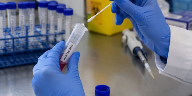 ¿Hay riesgo real de hantavirus en México? Especialistas revelan lo que se sabe hasta ahora