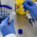 ¿Hay riesgo real de hantavirus en México? Especialistas revelan lo que se sabe hasta ahora