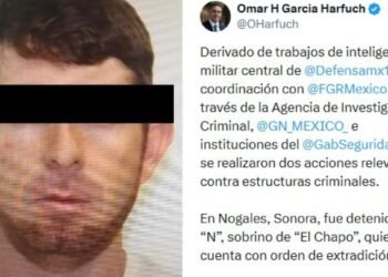 Operativo federal en Nogales deja detenido a sobrino de Joaquín Guzmán Loera