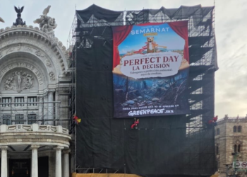 ¿Toboganes o selva? La pregunta que Greenpeace lanzó desde Bellas Artes