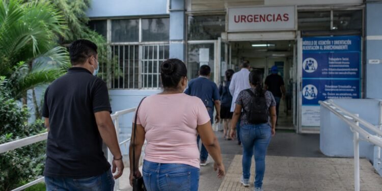 ¿Hantavirus en México? Esto informó la Secretaría de Salud a los hospitales