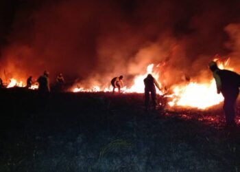 ¿Qué está ardiendo en Quintana Roo? El fuego llega al Santuario del Manatí
