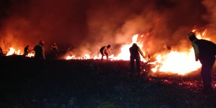 ¿Qué está ardiendo en Quintana Roo? El fuego llega al Santuario del Manatí