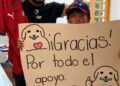 Para completar su álbum del Mundial, niño sale a pedir estampitas a la calle; ¿tú lo harías?