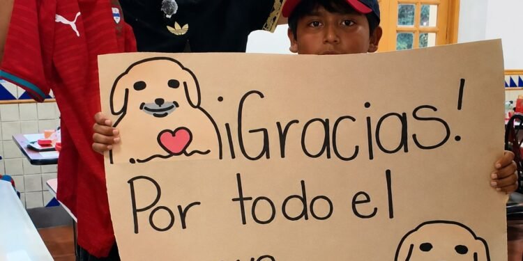 Para completar su álbum del Mundial, niño sale a pedir estampitas a la calle; ¿tú lo harías?