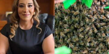 Magistrada muere tras salvar a su hijo de un ataque de abejas en Zacatecas. Esta es su historia