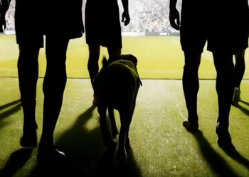 El otro “equipo” del Mundial: perros guardianes vigilarán Cancún y fronteras