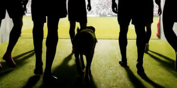 El otro “equipo” del Mundial: perros guardianes vigilarán Cancún y fronteras