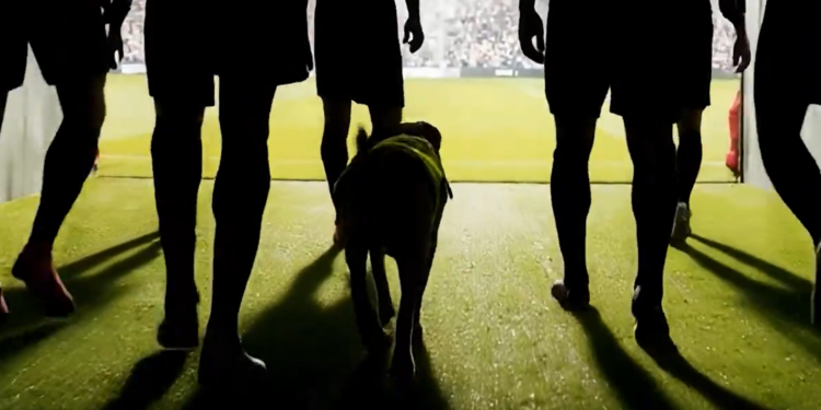 El otro “equipo” del Mundial: perros guardianes vigilarán Cancún y fronteras