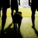 El otro “equipo” del Mundial: perros guardianes vigilarán Cancún y fronteras